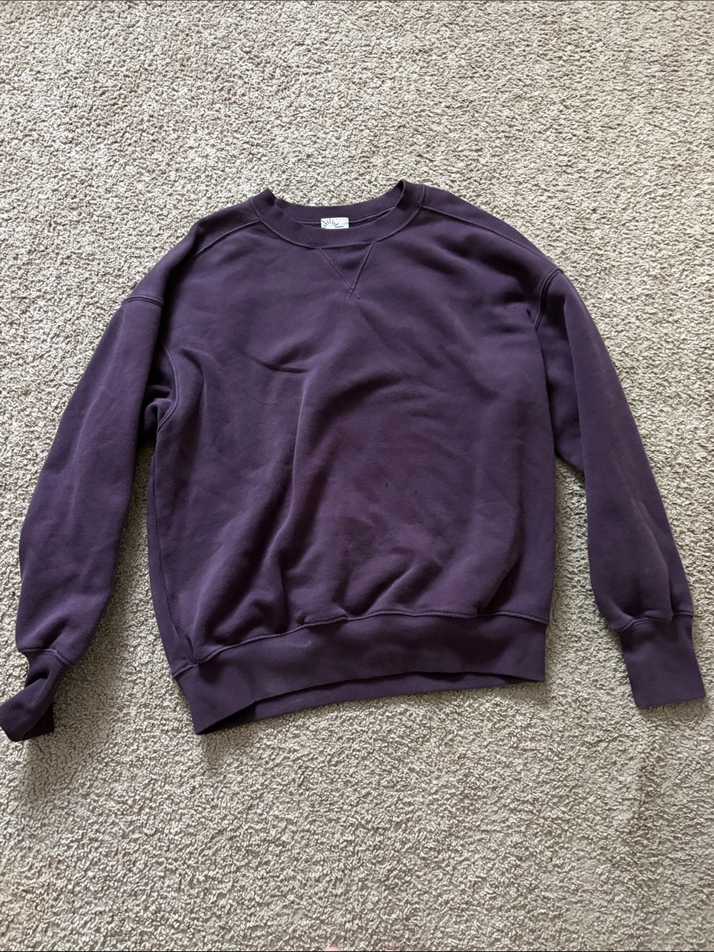 AERIE Oversized Crewneck Sweatshirt - Deep Purple (worn few times)